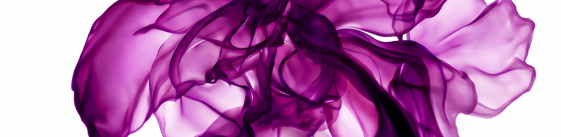 Image Dynamique